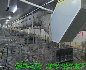 豬場新風系統(tǒng)